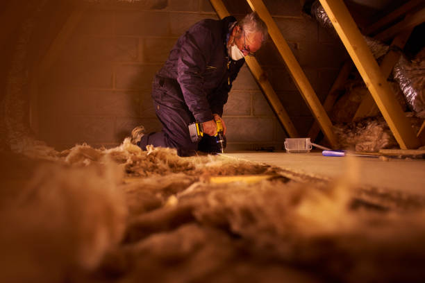 Best Professional Insulation Contractor  in Bowie, TX